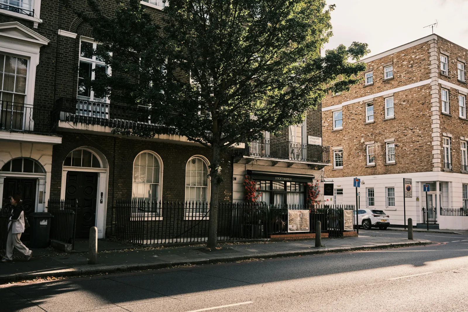 A tree-lined London street of brick townhouses in afternoon light